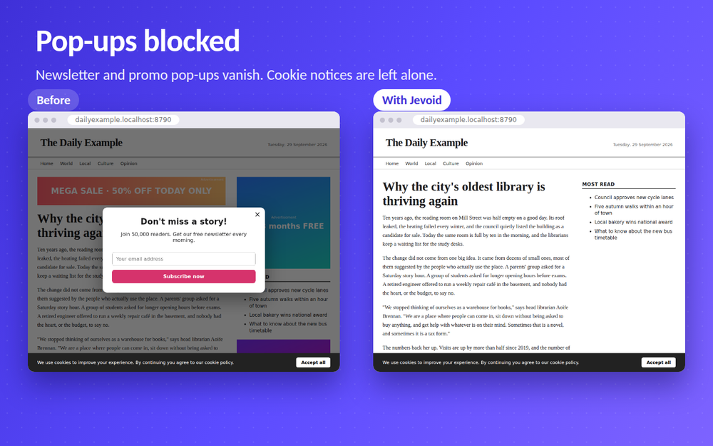 A newsletter pop-up blocked while the cookie notice stays